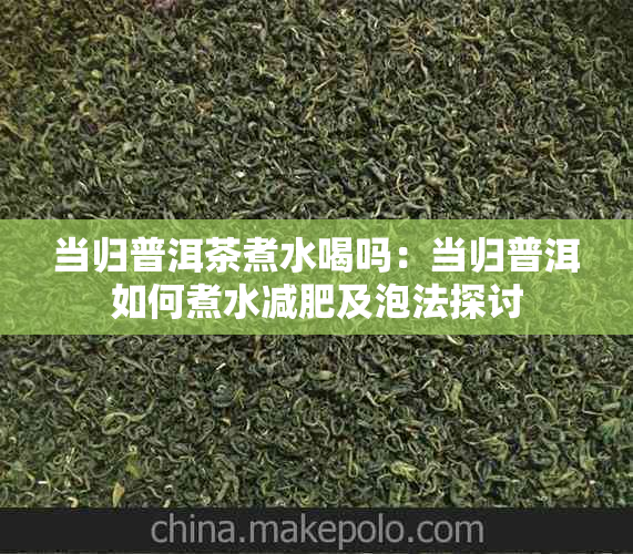 当归普洱茶煮水喝吗：当归普洱如何煮水减肥及泡法探讨