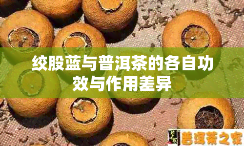 绞股蓝与普洱茶的各自功效与作用差异