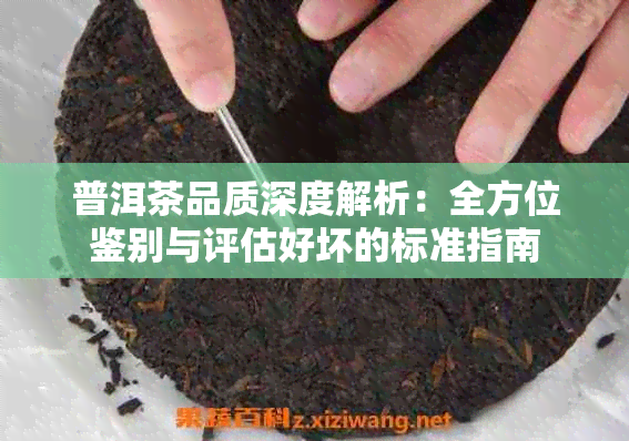 普洱茶品质深度解析：全方位鉴别与评估好坏的标准指南