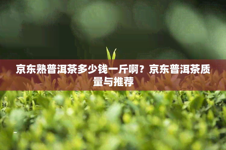 京东熟普洱茶多少钱一斤啊？京东普洱茶质量与推荐