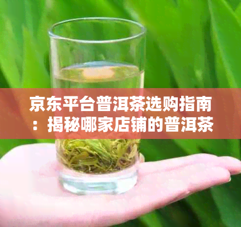 京东平台普洱茶选购指南：揭秘哪家店铺的普洱茶最正宗、品质