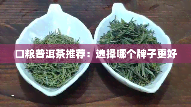 口粮普洱茶推荐：选择哪个牌子更好