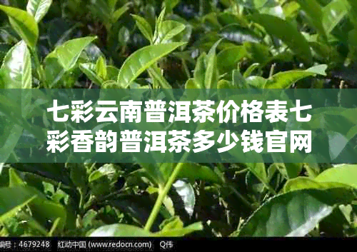 七彩云南普洱茶价格表七彩香韵普洱茶多少钱官网旗舰店