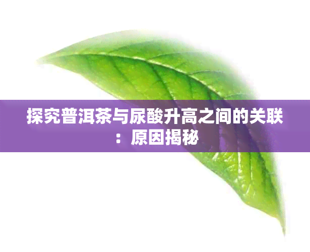 探究普洱茶与尿酸升高之间的关联：原因揭秘
