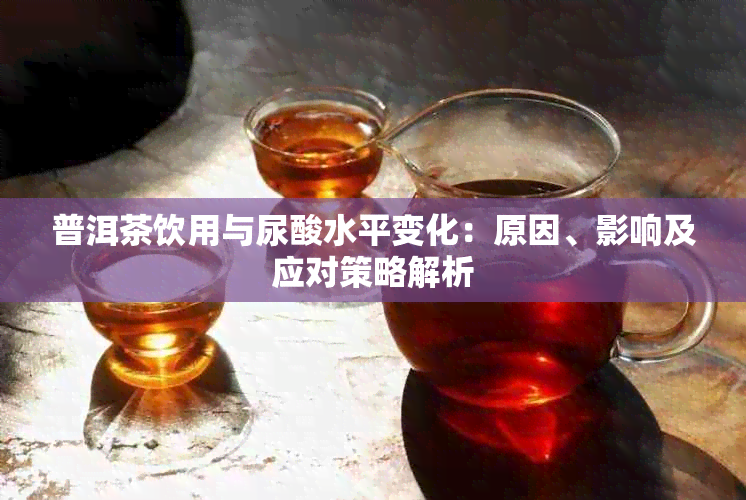 普洱茶饮用与尿酸水平变化：原因、影响及应对策略解析