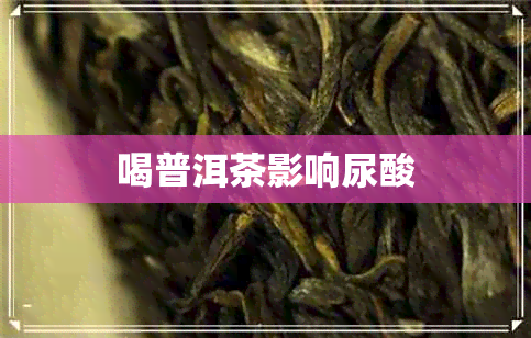 喝普洱茶影响尿酸