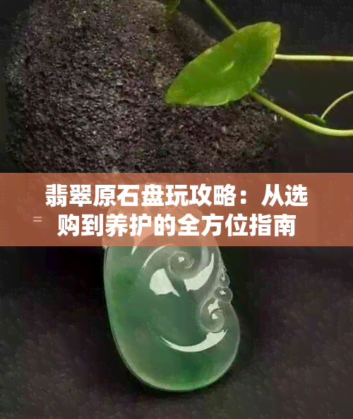 翡翠原石盘玩攻略：从选购到养护的全方位指南