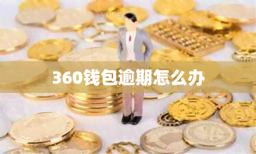 360钱包逾期怎么办