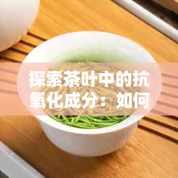 探索茶叶中的抗氧化成分：如何帮助防衰老与促进健康