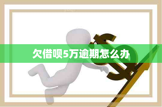 欠网贷5万逾期怎么办