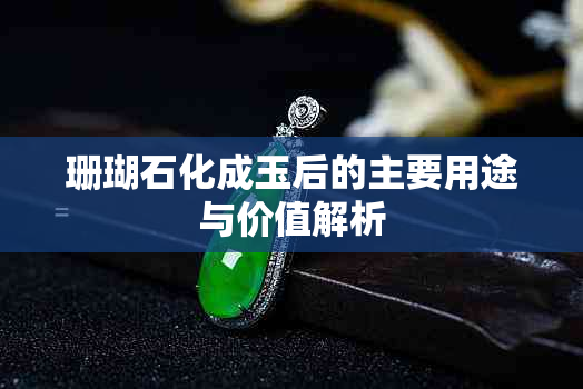 珊瑚石化成玉后的主要用途与价值解析