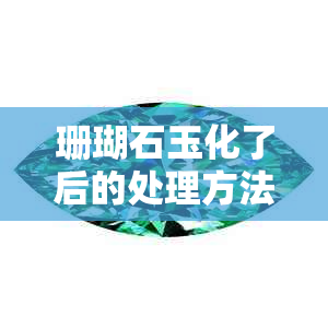 珊瑚石玉化了后的处理方法及多样化技巧探究