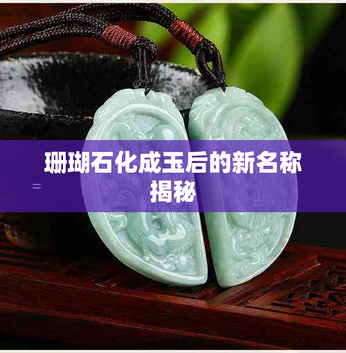 珊瑚石化成玉后的新名称揭秘