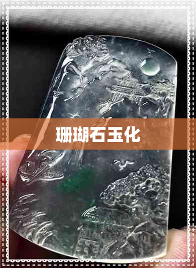 珊瑚石玉化 珊瑚石玉化