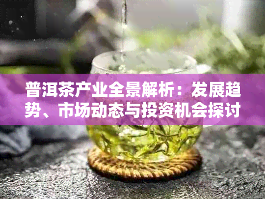 普洱茶产业全景解析:发展趋势、市场动态与投资机会探讨