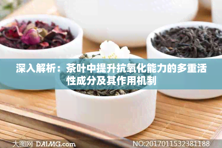 深入解析：茶叶中提升抗氧化能力的多重活性成分及其作用机制