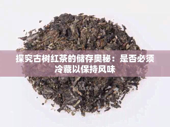 探究古树红茶的储存奥秘:是否必须冷藏以保持风味
