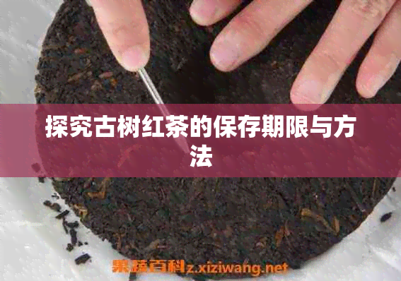 探究古树红茶的保存期限与方法