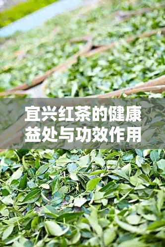 宜兴红茶的健康益处与功效作用
