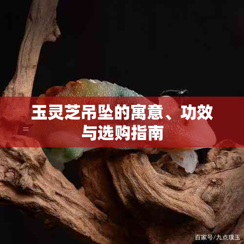 玉灵芝吊坠的寓意、功效与选购指南