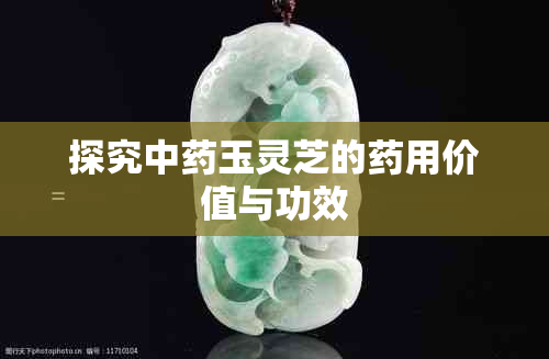 探究中玉灵芝的用价值与功效