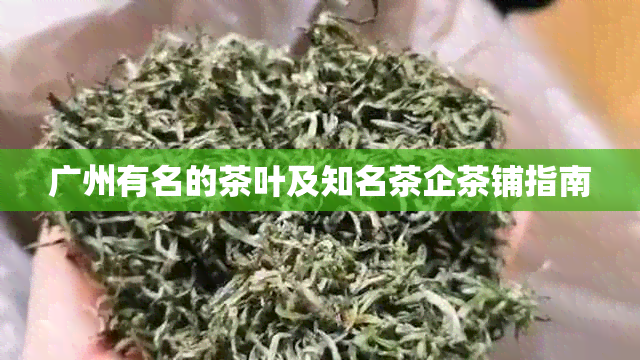 广州有名的茶叶及知名茶企茶铺指南