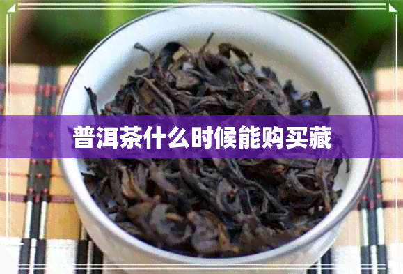 普洱茶什么时候能购买藏 普洱茶什么时候能购买藏