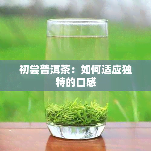 初尝普洱茶:如何适应独特的口感