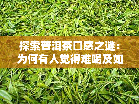 探索普洱茶口感之谜:为何有人觉得难喝及如何提升品饮体验