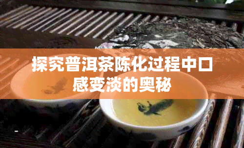 探究普洱茶陈化过程中口感变淡的奥秘