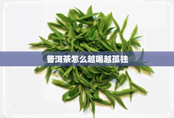 普洱茶怎么越喝越孤独 普洱茶怎么越喝越孤独
