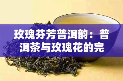 玫瑰芬芳普洱韵:普洱茶与玫瑰花的完美融合