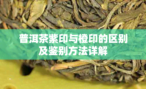 普洱茶紫印与橙印的区别及鉴别方法详解