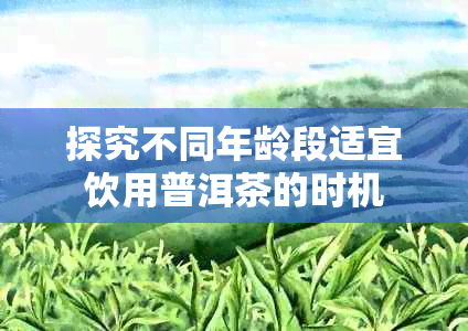 探究不同年龄段适宜饮用普洱茶的时机