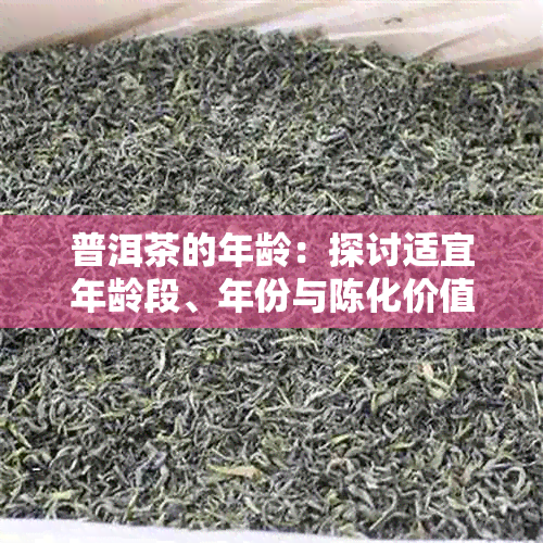 普洱茶的年龄:探讨适宜年龄段、年份与陈化价值