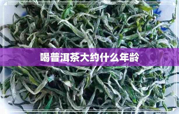 喝普洱茶大约什么年龄 喝普洱茶大约什么年龄