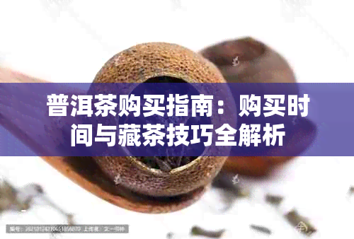 普洱茶购买指南:购买时间与藏茶技巧全解析