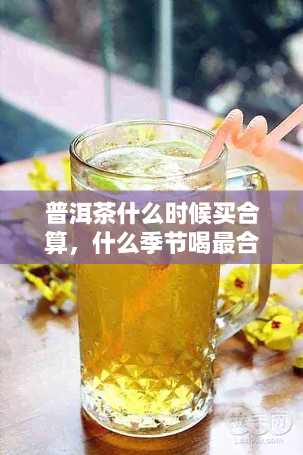 普洱茶什么时候买合算,什么季节喝最合适
