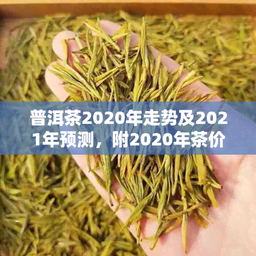 普洱茶2020年走势及2021年预测,附2020年茶价分析