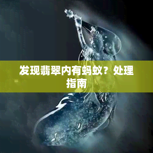 发现翡翠内有蚂蚁?处理指南