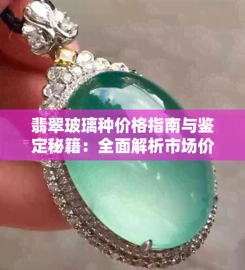 翡翠玻璃种价格指南与鉴定秘籍：全面解析市场价值与真伪辨识技巧
