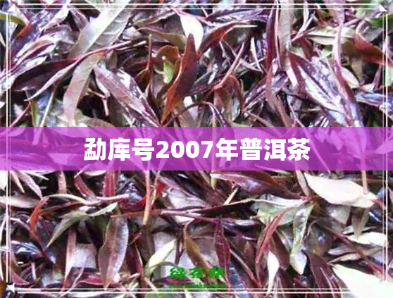 勐库号2007年普洱茶 勐库号2007年普洱茶