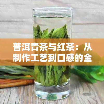 普洱青茶与红茶：从制作工艺到口感的全方位对比
