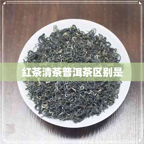 红茶清茶普洱茶区别是