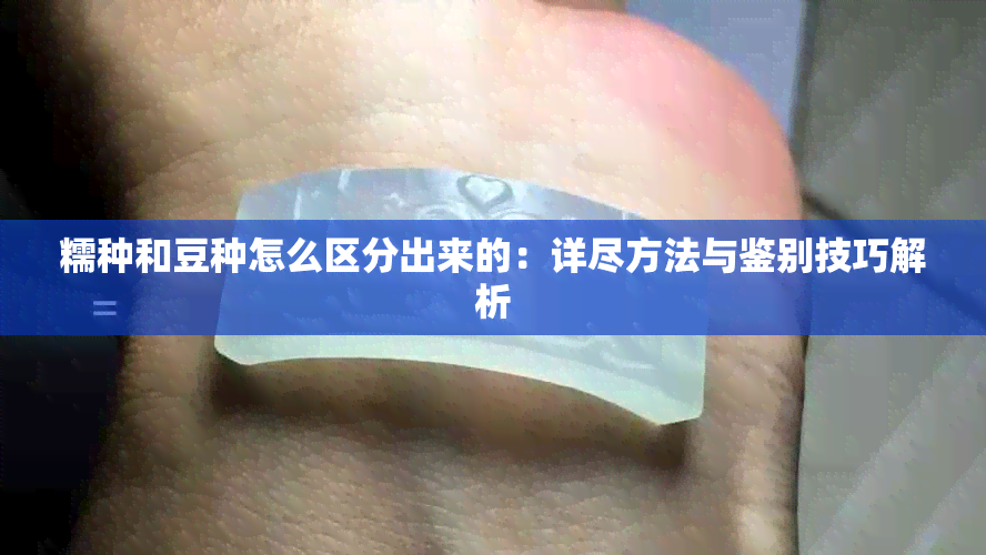 糯种和豆种怎么区分出来的:详尽方法与鉴别技巧解析