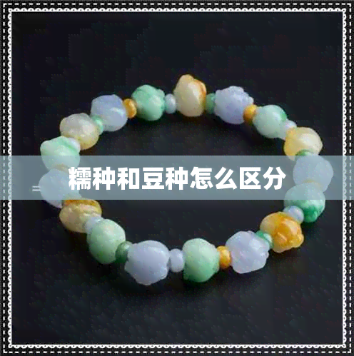 糯种和豆种怎么区分 糯种和豆种怎么区分