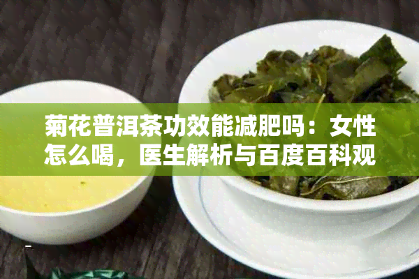 菊花普洱茶功效能减肥吗:女性怎么喝,医生解析与百度百科观点