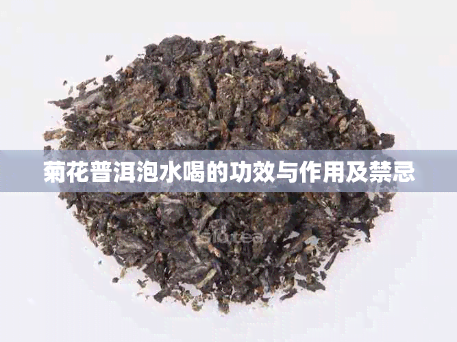 菊花普洱泡水喝的功效与作用及禁忌