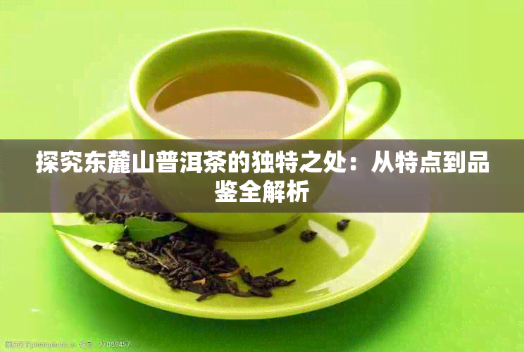 探究东麓山普洱茶的独特之处：从特点到品鉴全解析