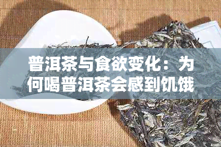 普洱茶与食欲变化：为何喝普洱茶会感到饥饿？
